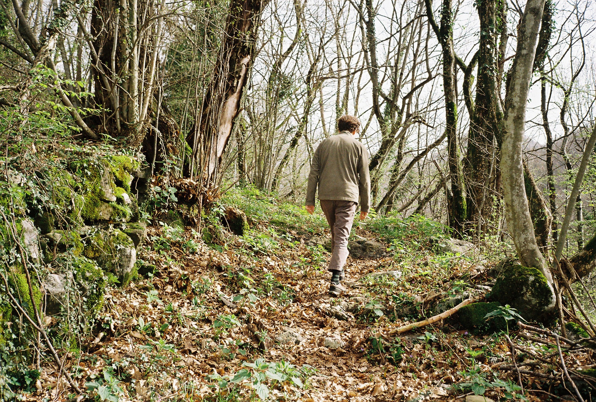 Ben on a walk