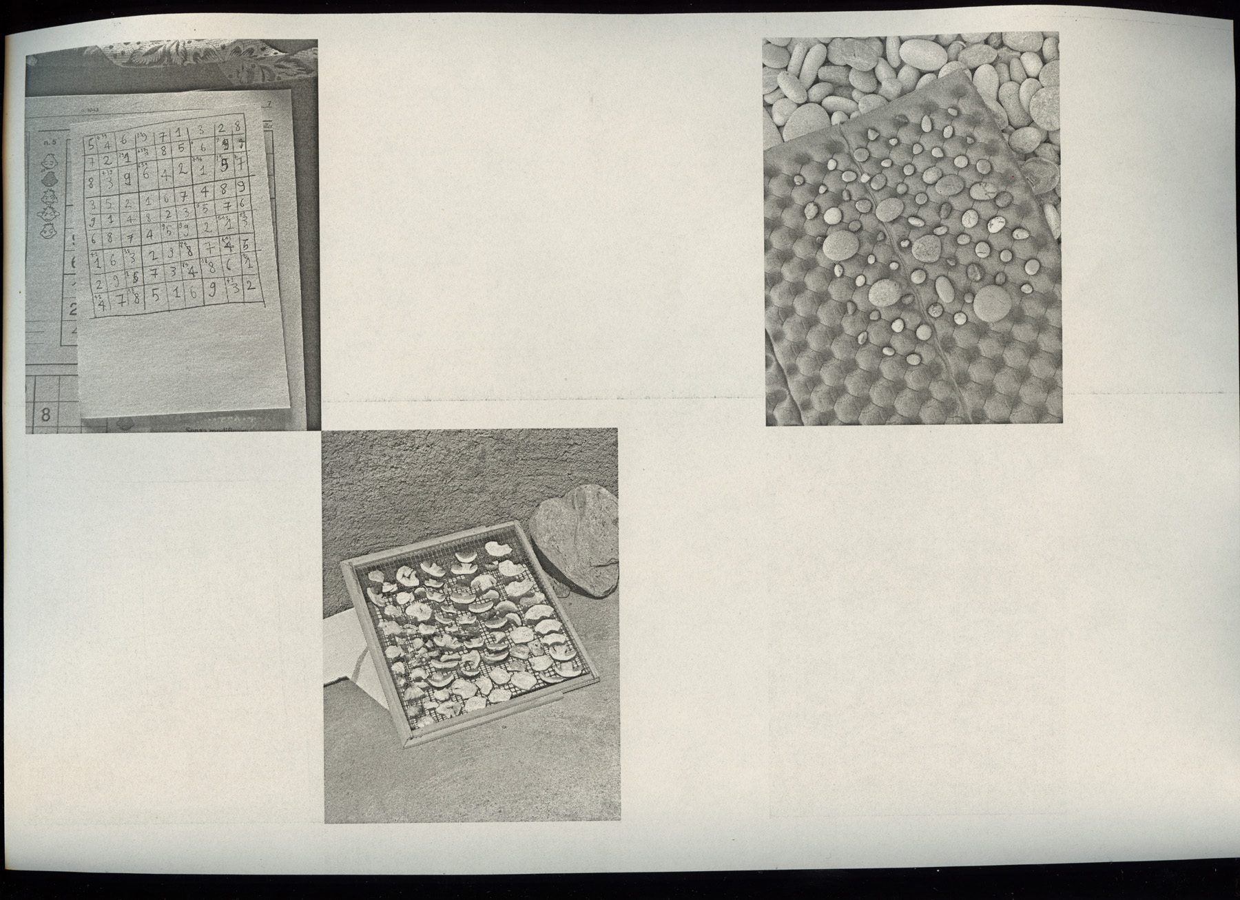 251007-fl-traces-summer-s-leftovers