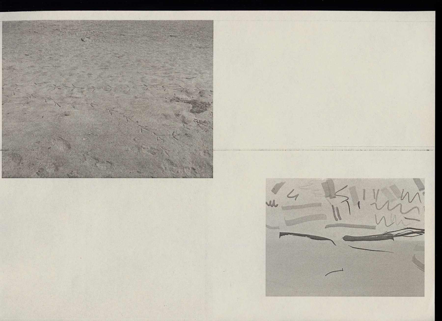 251215-fl-traces-footsteps