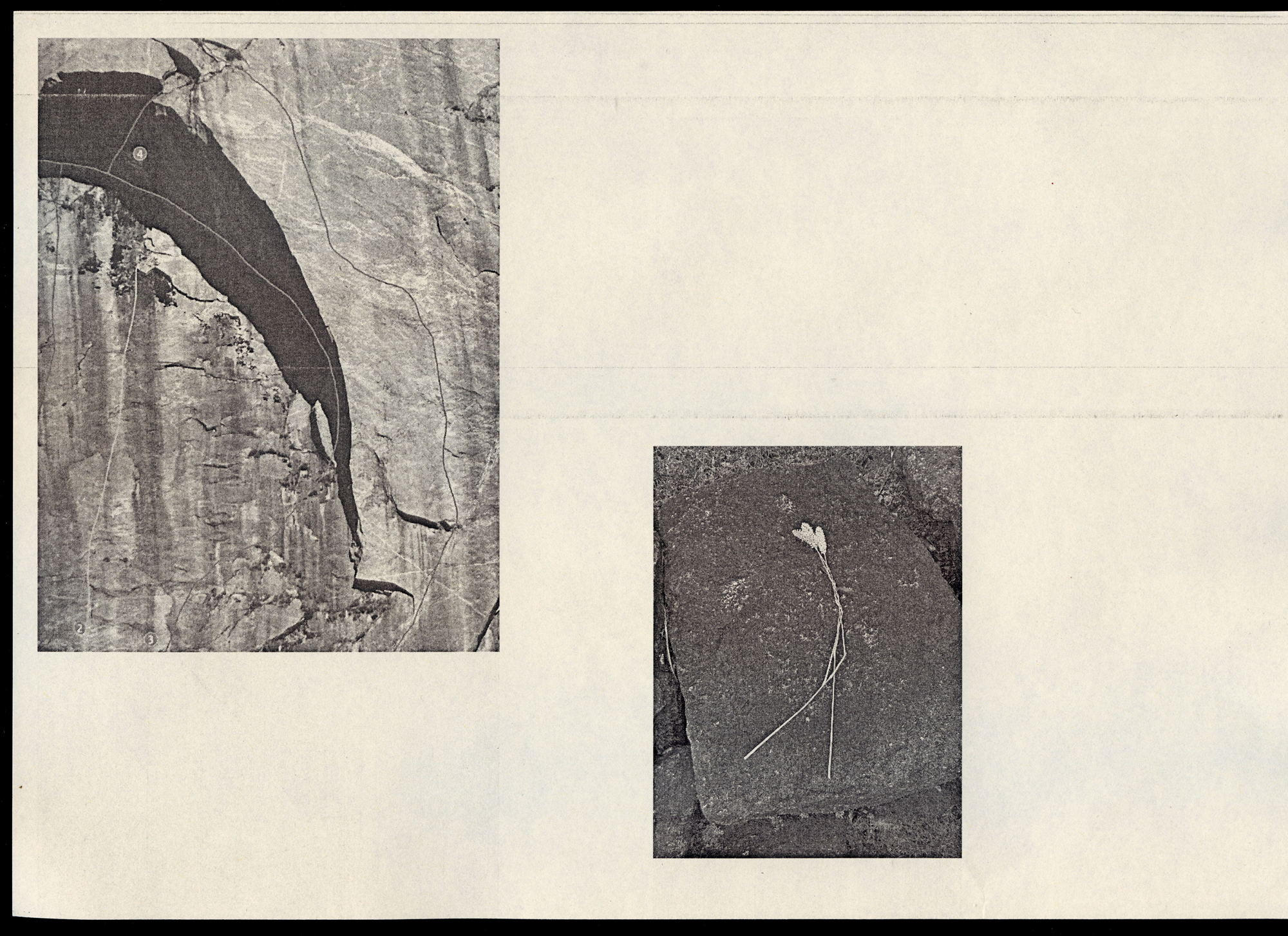 250526-fl-traces-arc