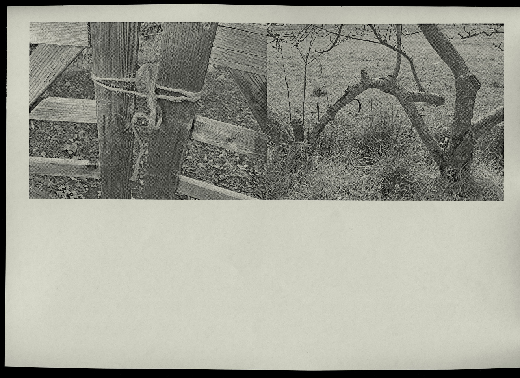 260316-fl-traces-tied-together